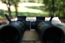 IMG_2025.jpg
