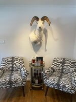 IMG_0451.jpeg