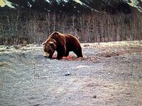 IMG_1560.jpeg
