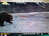 IMG_1559.jpeg