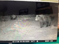 IMG_1558.jpeg