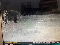 IMG_1557.jpeg