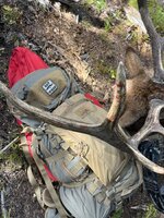 IMG_2700.jpeg