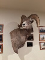 IMG_2112.jpeg