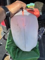 IMG_1113.jpeg IMG_1113.jpeg