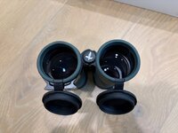 IMG_5433.jpeg