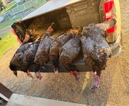 IMG_6101.jpeg