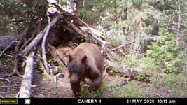 IMG_7990.jpeg