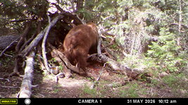 IMG_7991.jpeg