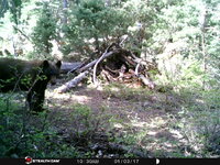 IMG_7988.jpeg