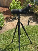IMG_5565.jpeg