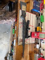 IMG_0772.jpeg