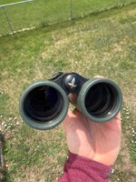 IMG_1222.jpeg