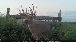 IMG_2997.JPEG