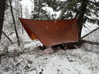 IMG_7474.jpg