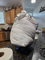 20260531_180525.jpg