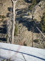 IMG_7653.jpeg