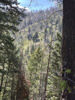 IMG_7791.jpeg