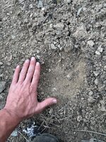 IMG_7792.jpeg