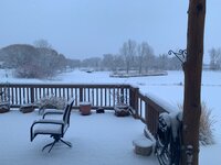 morning snow 003.JPG
