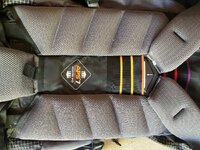 IMG_1401.jpeg