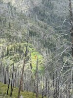 IMG_7873.jpeg