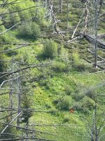 IMG_7875.jpeg