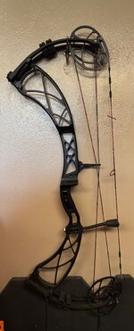 IMG_7707.jpeg