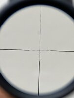IMG_4550.jpeg