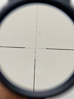 IMG_4551.jpeg