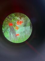 Unknown-11.jpg