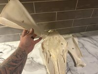 IMG_1982.jpeg