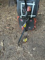 IMG_4100.jpeg