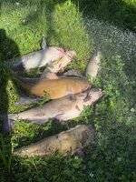 IMG_4187.jpeg