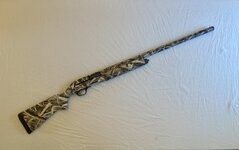IMG_5604.jpeg