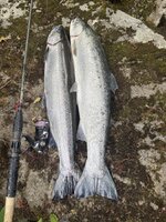 IMG_5003.jpeg