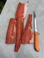 IMG_5006.jpeg