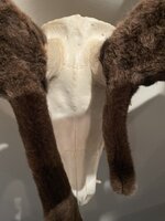 IMG_0948.jpeg