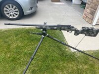 IMG_3285.jpeg