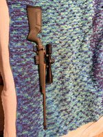 IMG_2768.jpeg