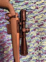 IMG_2769.jpeg