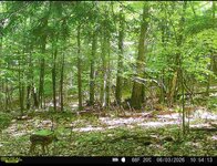IMG_0768.jpeg