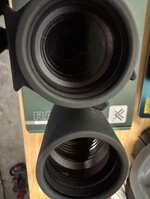 IMG_3598.jpeg