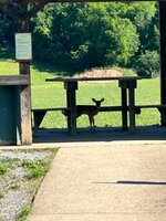 IMG_6478.jpeg