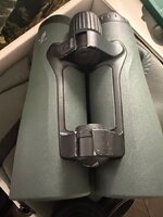 IMG_4542.jpeg