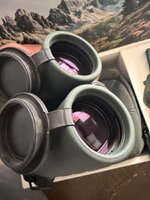 IMG_4539.jpeg