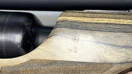 IMG_9799.jpeg