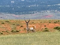 IMG_8055.jpeg
