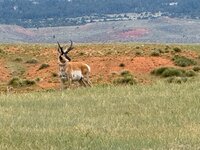 IMG_8053.jpeg
