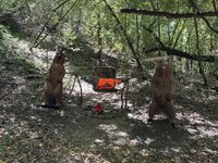 IMG_2699.jpeg